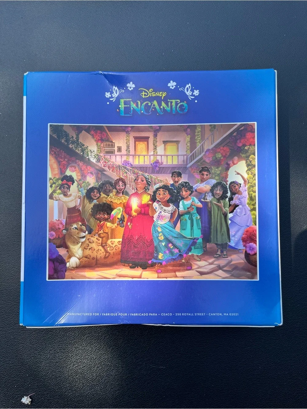 DISNEY'S ENCANTO FAMILY PORTRAIT 1000 Piece Puzzle